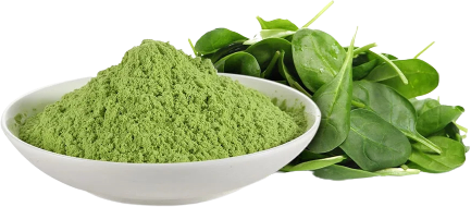 SPINACH POWDER (200g, 500g)
