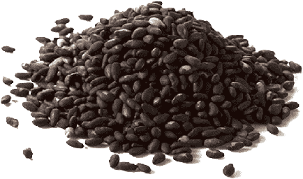 BLACK SESAME (50g, 100g, 250g, 500g)
