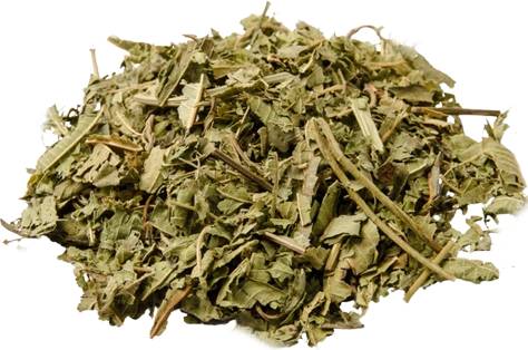 LEMON VERBENA (20g, 500g)
