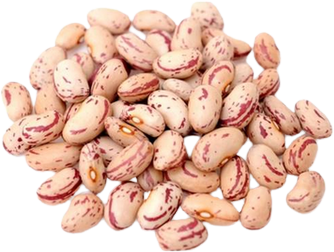 Chit Kabra Rajma (500g, 1kg, 1kgx2)