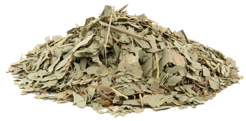EUCALYPTUS (50g, 500g)