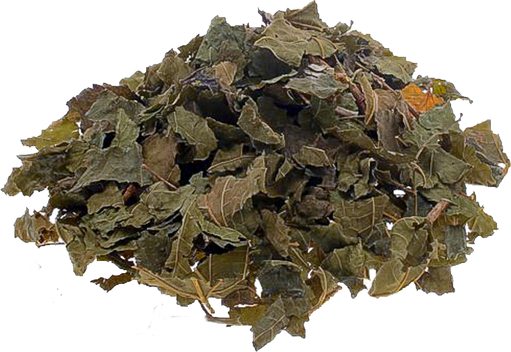 MULBERRY LEAF (50g, 500g)