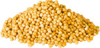YELLOW MUSTARD SEED (50g, 100g, 250g, 500g)